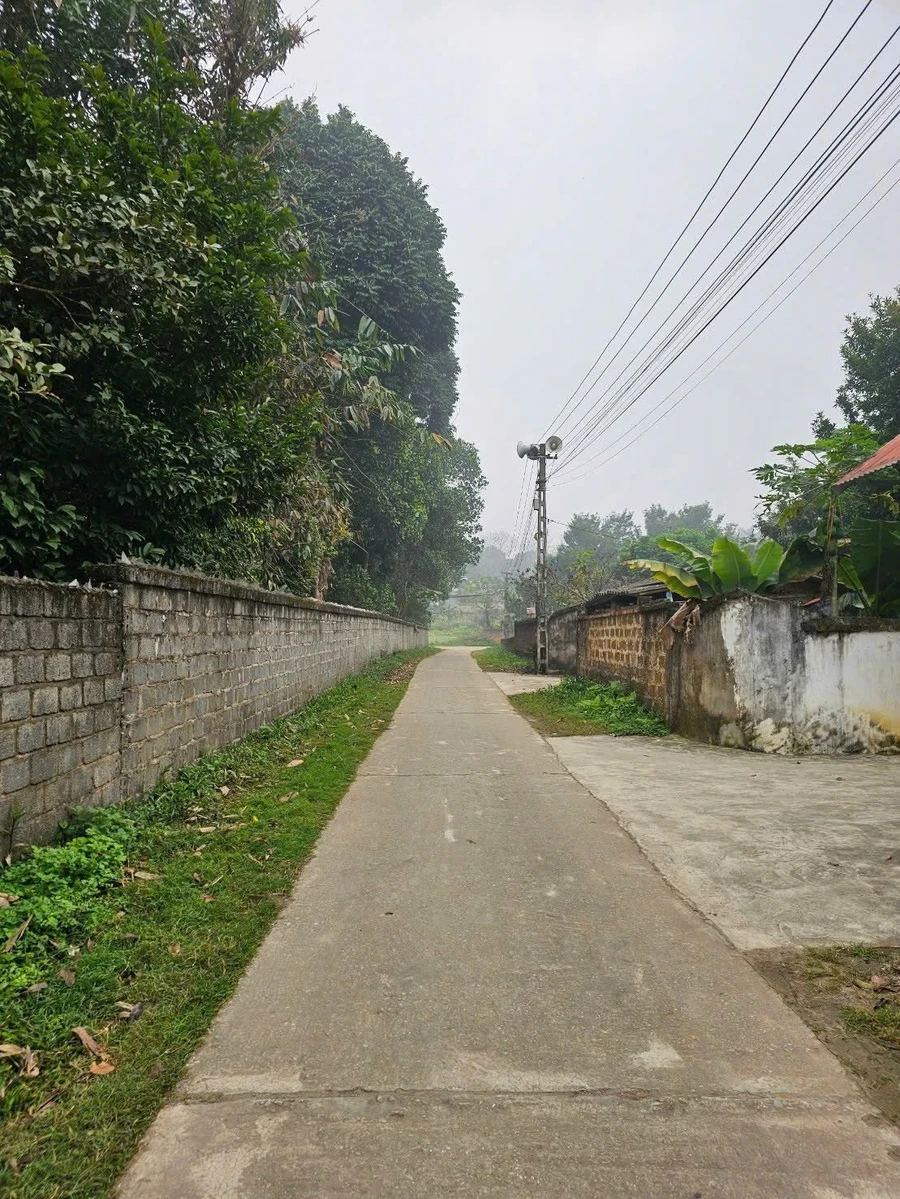 Bán đất 298m2 mặt tiền 8m Nhuận Trạch Hòa Bình - Ảnh thu nhỏ 4