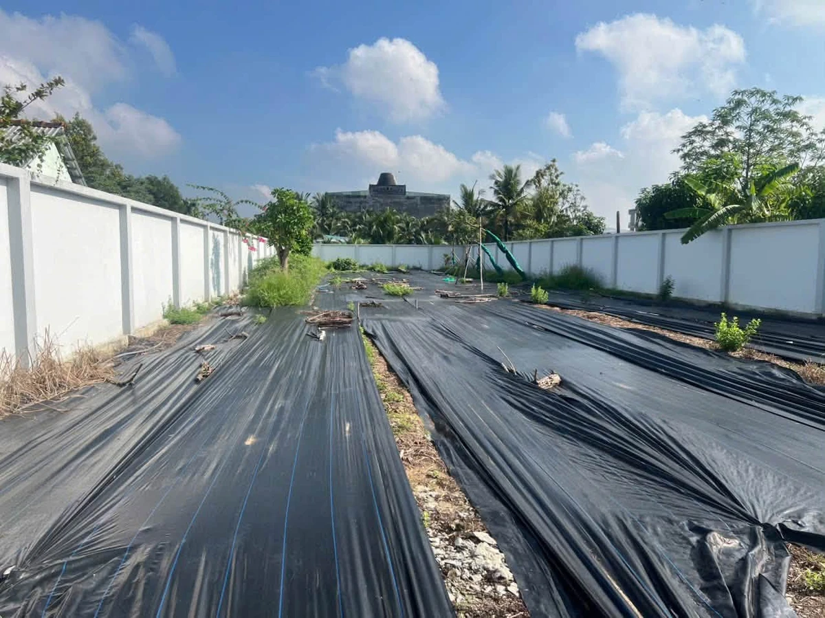 Bán 3 nền đất mặt tiền Phú Tân, 589m², 4,15 tỷ - Ảnh thu nhỏ 4