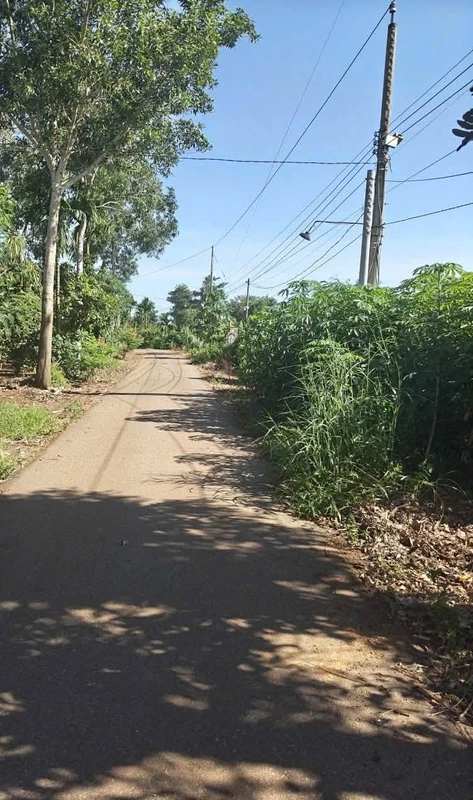 Bán đất 1400 m² 2 mặt tiền Xuân Tây Cẩm Mỹ Đồng Nai