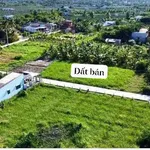 Bán đất thổ 120m² tại Xã Tầm Vu, Long An - 395 triệu - Ảnh thu nhỏ 4