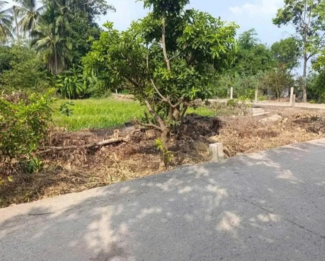 Bán gấp đất thổ cư 5x30m (150m2) giá 430 triệu đường Phạm Công Thận, Tân Trụ, Long An - Ảnh 1