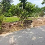 Bán gấp đất thổ cư 5x30m (150m2) giá 430 triệu đường Phạm Công Thận, Tân Trụ, Long An - Ảnh thu nhỏ 1