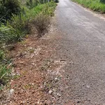 Bán đất 1.47ha Bù Đốp, Bình Phước, 2.6 tỷ - Ảnh thu nhỏ 2