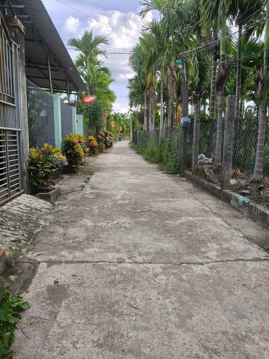 Bán đất Sơn Tịnh 185m², 500 triệu - Ảnh 1