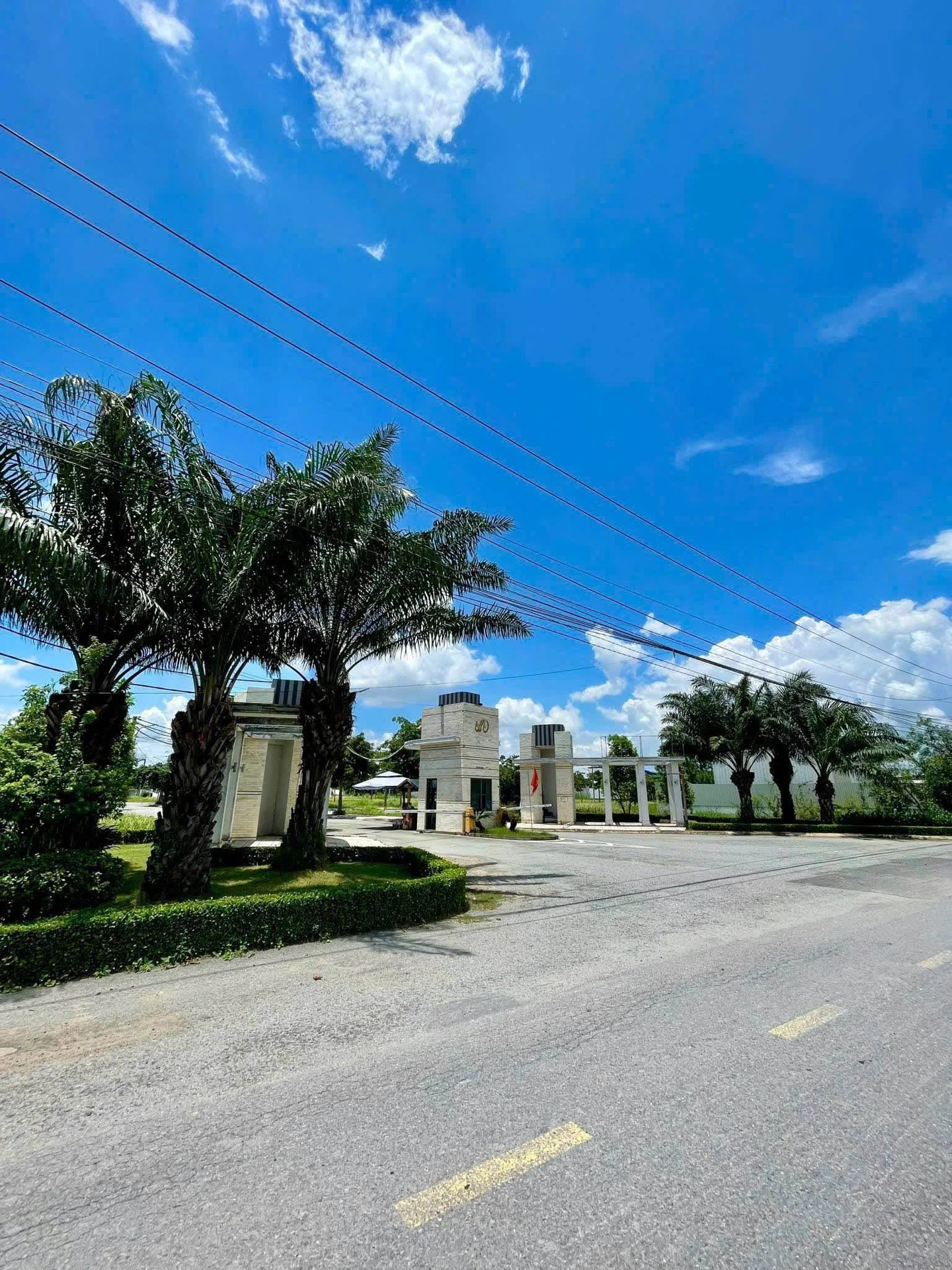 Bán lô đất Hiển Vinh Đại Phúc Hóc Môn 77.5m² giá 795 triệu - Ảnh 1