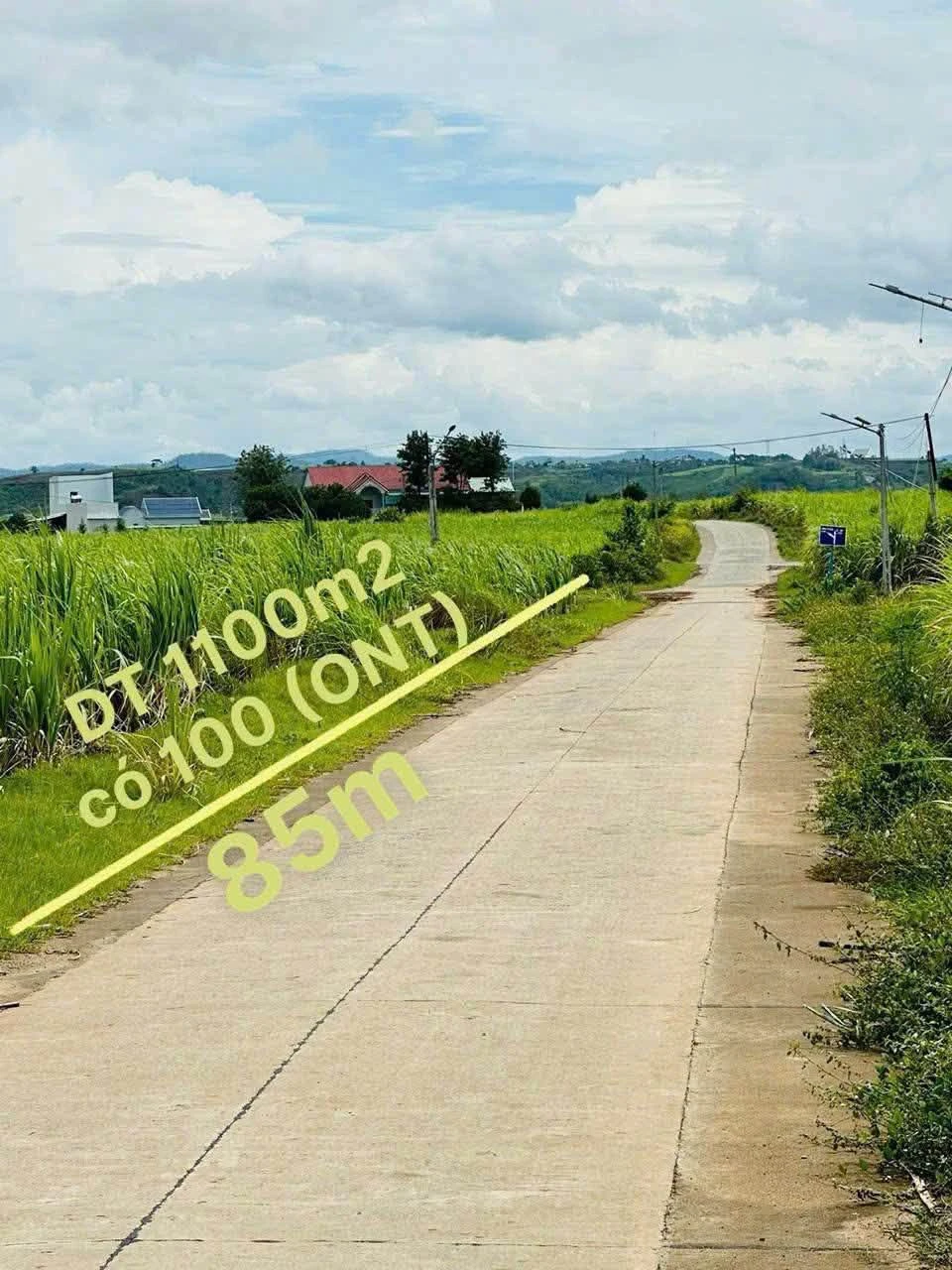 Bán đất trung tâm xã Đức Bình Tây 100m² giá 4 tỷ - Ảnh 1