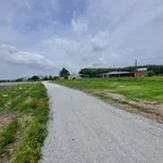 Bán đất nền 80m² Gò Dầu, Tây Ninh 280 triệu - Ảnh thu nhỏ 2