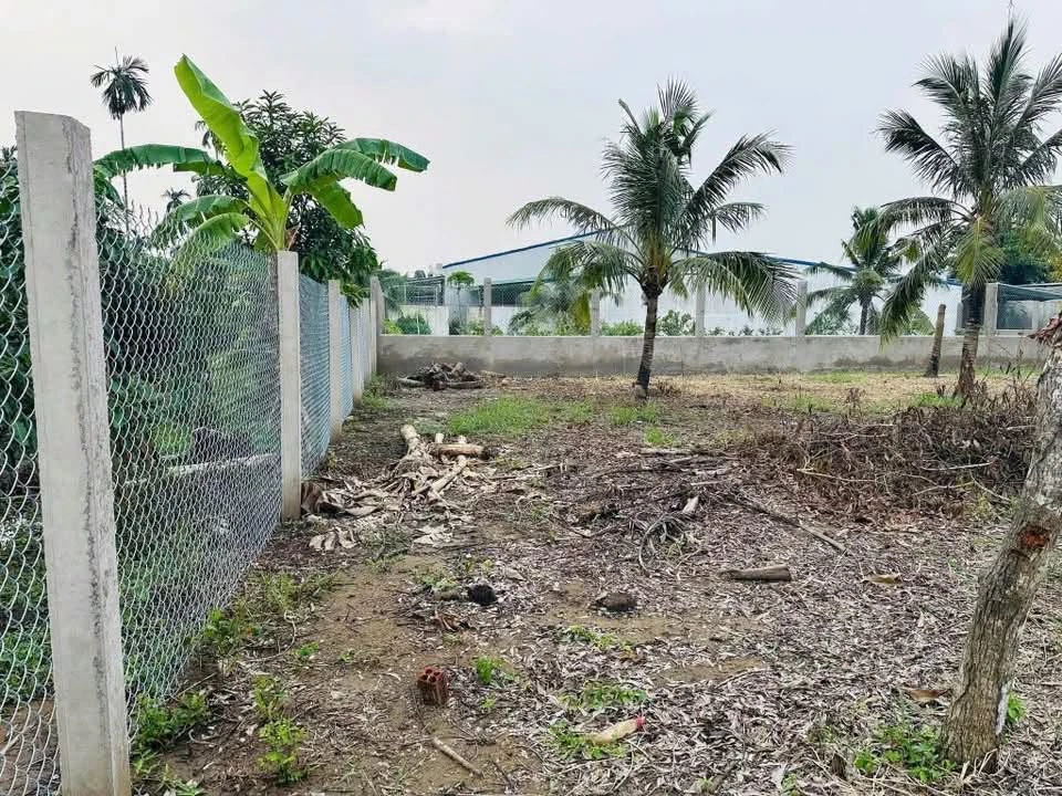 Bán nền biệt thự 704m² Phú Tân Bến Tre 2,7 tỷ - Ảnh thu nhỏ 3