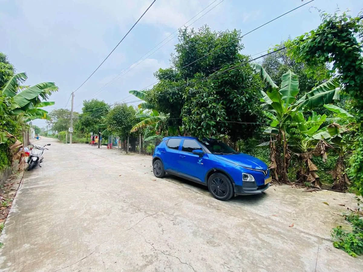 Bán đất vườn 432m² Bình Chánh 6 tỷ - Ảnh 1