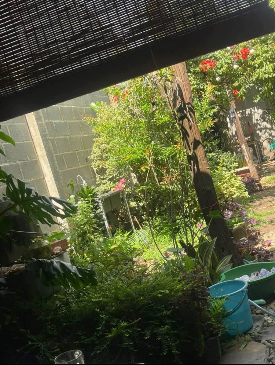 Bán lô đất hẻm Đỗ Nhuận 60m² Buôn Ma Thuột - Ảnh thu nhỏ 3