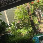 Bán lô đất hẻm Đỗ Nhuận 60m² Buôn Ma Thuột - Ảnh thu nhỏ 3