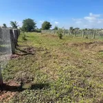 Bán lô đất 1 sào Hàm Liêm Phan Thiết 470 triệu - Ảnh thu nhỏ 4