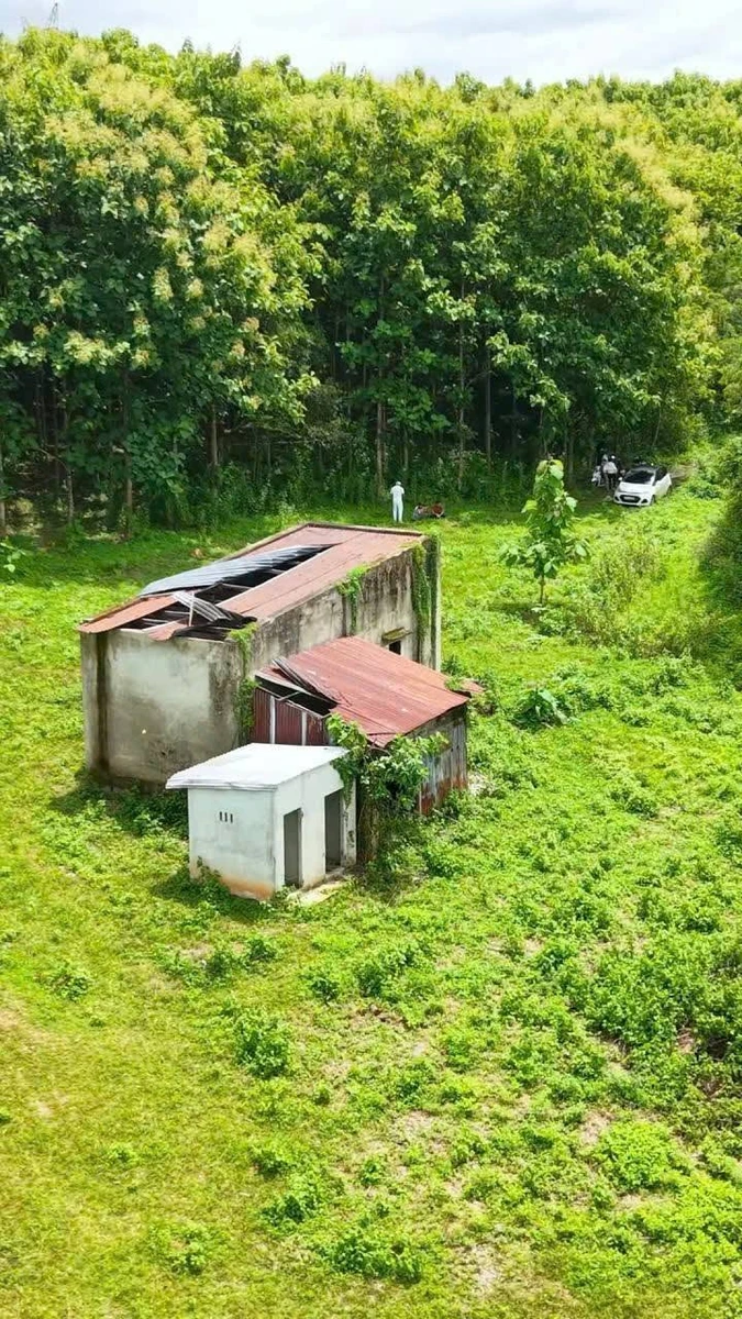 Bán đất 5,1 sào ngay Cầu 14 Sêrêpốk giá 1 tỷ - Ảnh thu nhỏ 2