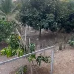 Bán nhà 2 phòng ngủ 1000m² Phường Đồng Xoài, 2 tỷ - Ảnh thu nhỏ 4