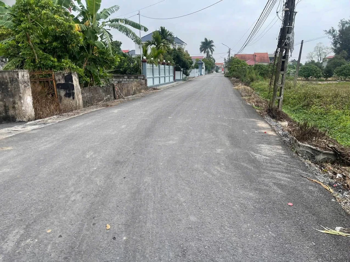 Bán đất 58m2 đường Đoàn Đào Phù Cừ hơn 400 triệu - Ảnh thu nhỏ 2