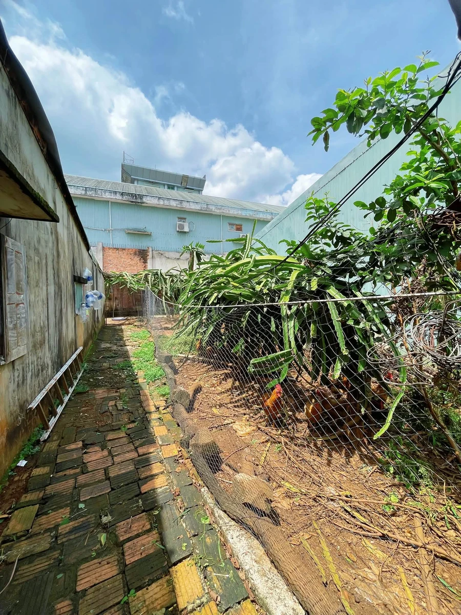 Bán đất nền trung tâm Pleiku 261m² - 3 tỷ - Ảnh thu nhỏ 3
