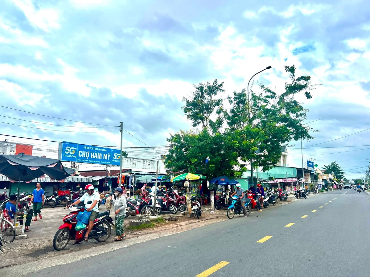 Bán đất kèm nhà kho mặt tiền 172m² Tuyên Quang 3,95 tỷ - Ảnh 1