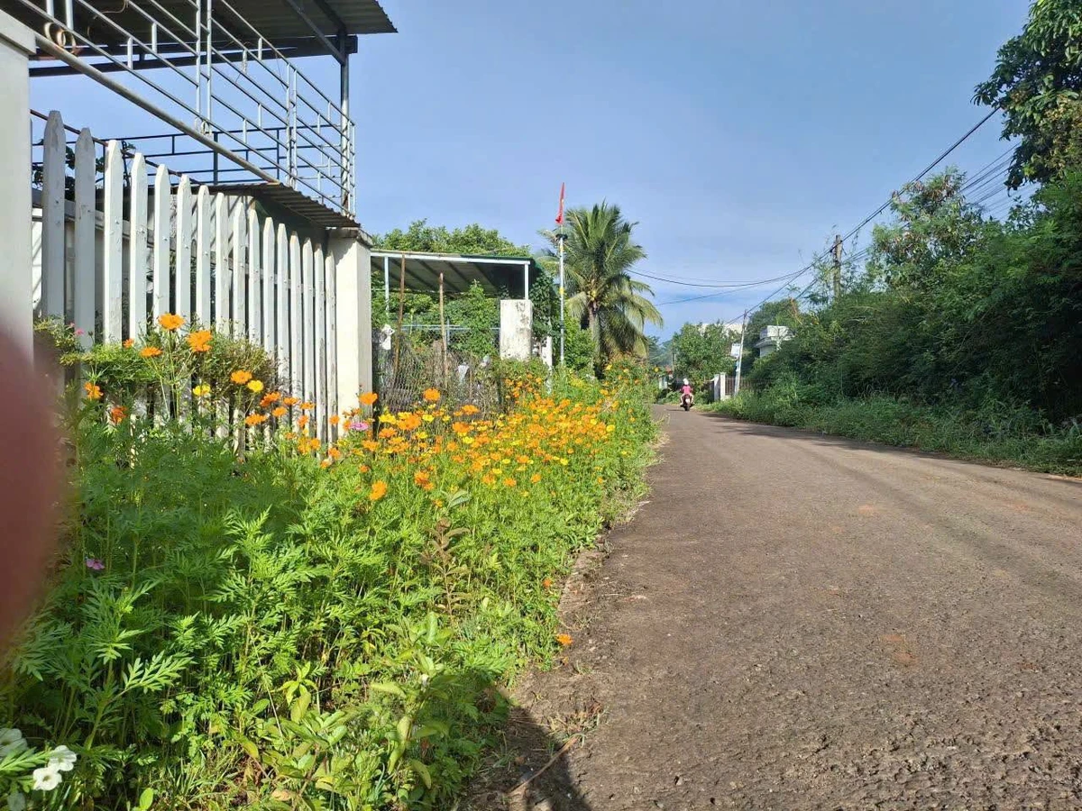 Bán đất 5x25m (125m2) hẻm 113 Nguyễn Cơ Thạch, giá 999 triệu - Ảnh 1