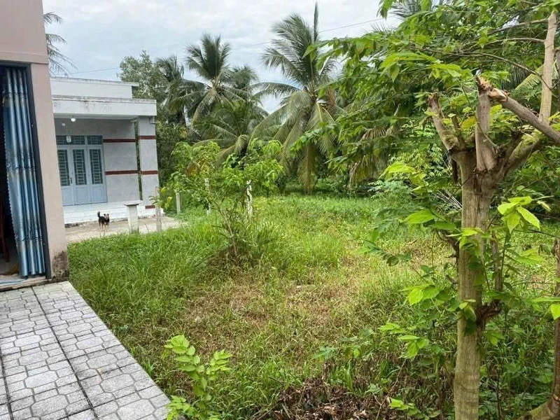 Bán đất 513m Bình Phú, Bến Tre, 950 triệu