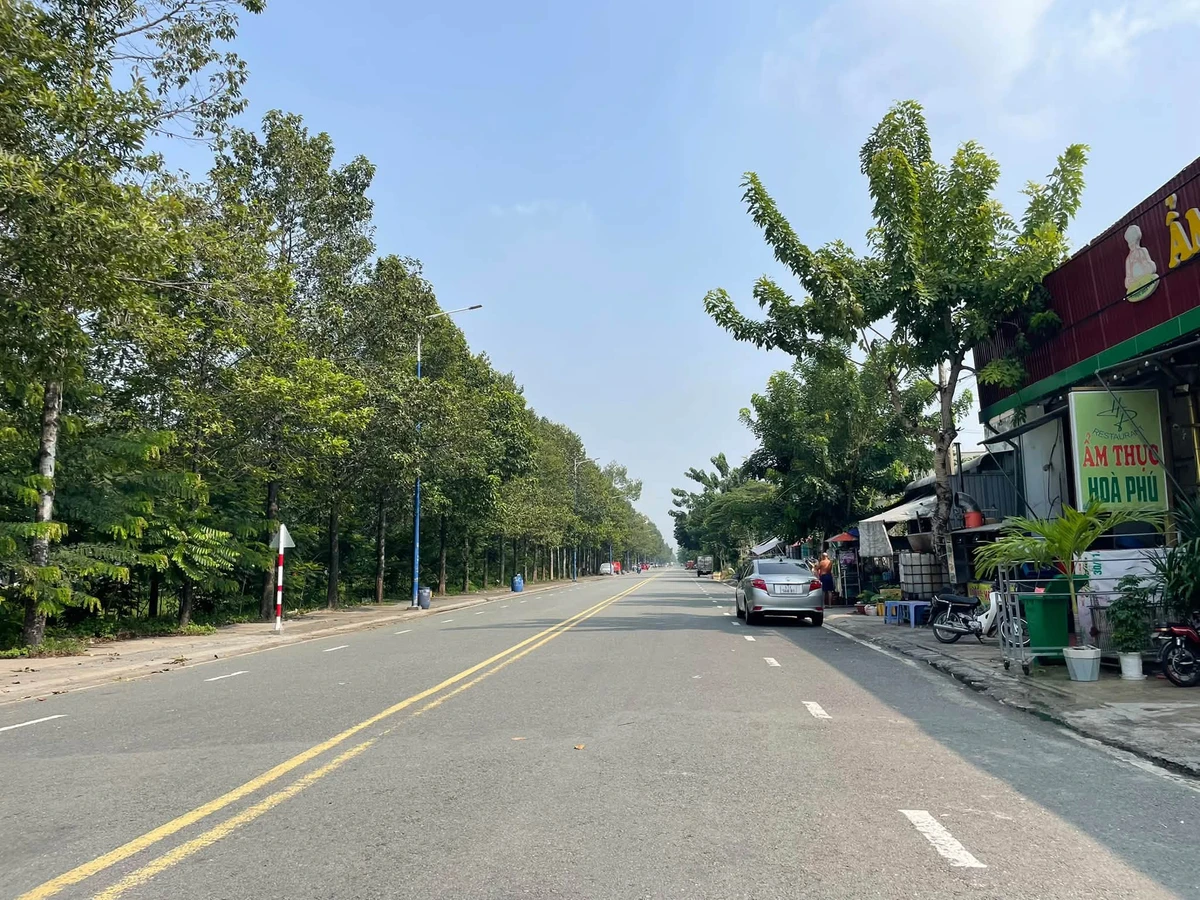 Bán đất 100m² Đường số 1, Phường Bình Dương, giá 3 tỷ - Ảnh thu nhỏ 3