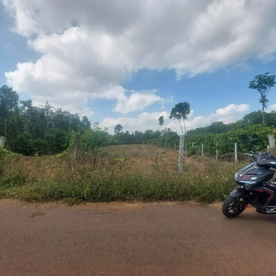 Bán đất Bình Giã 1.783m2, mặt tiền 20m - Ảnh thu nhỏ 2