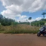Bán đất Bình Giã 1.783m2, mặt tiền 20m - Ảnh thu nhỏ 2