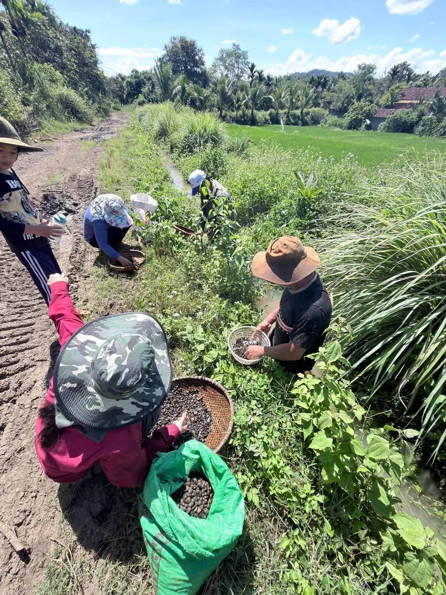 Bán 2,5 sào đất view Bà Rịa - Vũng Tàu 1 tỷ 90 - Ảnh thu nhỏ 5