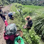 Bán 2,5 sào đất view Bà Rịa - Vũng Tàu 1 tỷ 90 - Ảnh thu nhỏ 5
