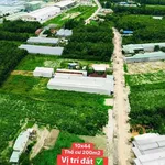 Bán nhà xây dãy trọ 240m2 mặt tiền 750 triệu - Ảnh thu nhỏ 4