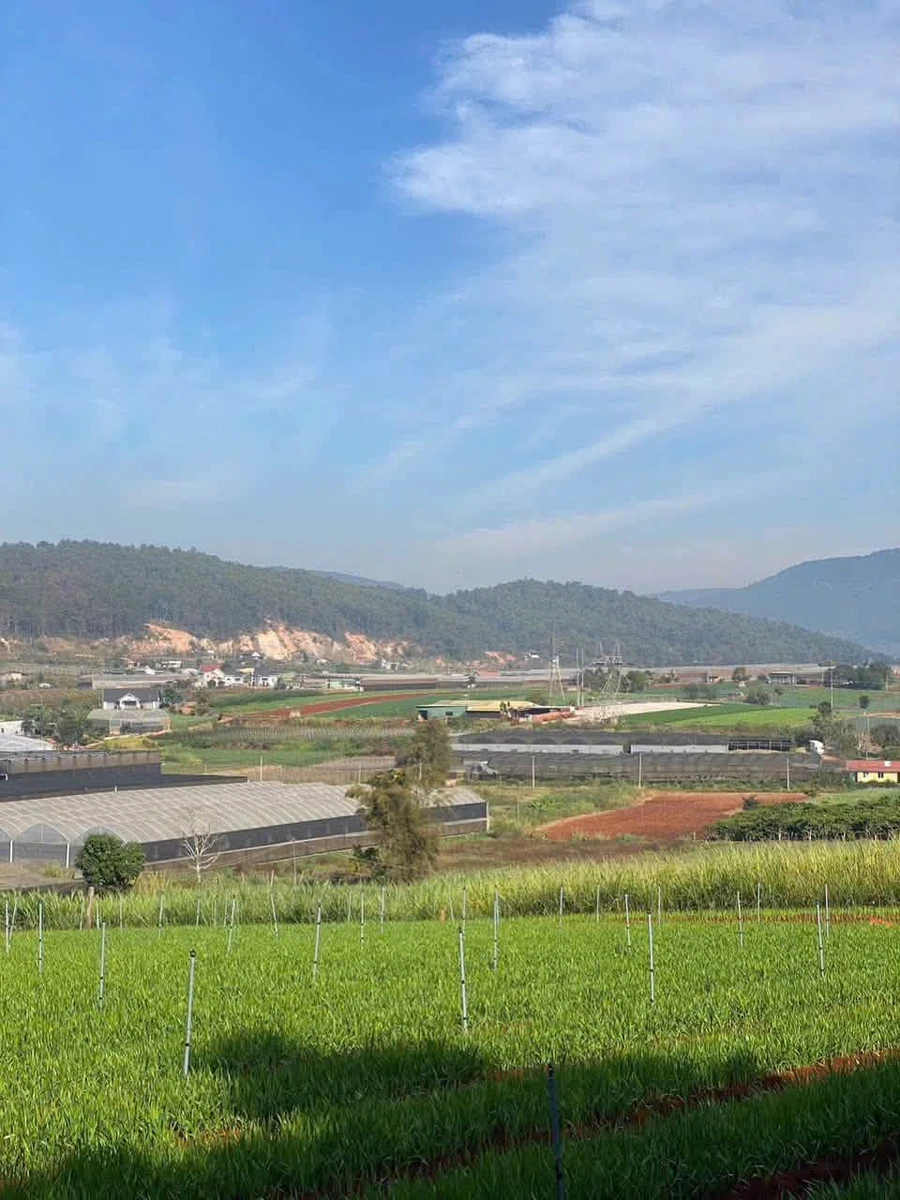 Bán đất thôn 2 Đạ Ròn 1480m2, 1 tỷ 8 - Ảnh thu nhỏ 2