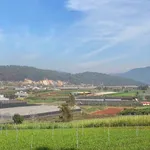 Bán đất thôn 2 Đạ Ròn 1480m2, 1 tỷ 8 - Ảnh thu nhỏ 2