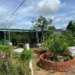 Bán đất nông nghiệp mặt tiền Phan Đăng Lưu Ninh Thuận 1.900m² - Ảnh thu nhỏ 2