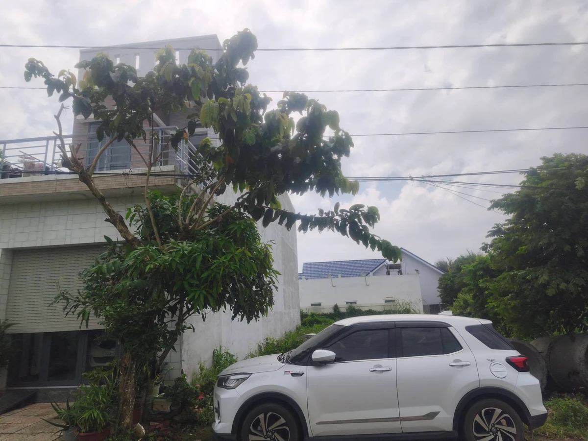Bán lô đất mặt tiền đường 51 Hòa Long 105m² 1 tỷ 950 triệu Bình Chánh - Ảnh thu nhỏ 4