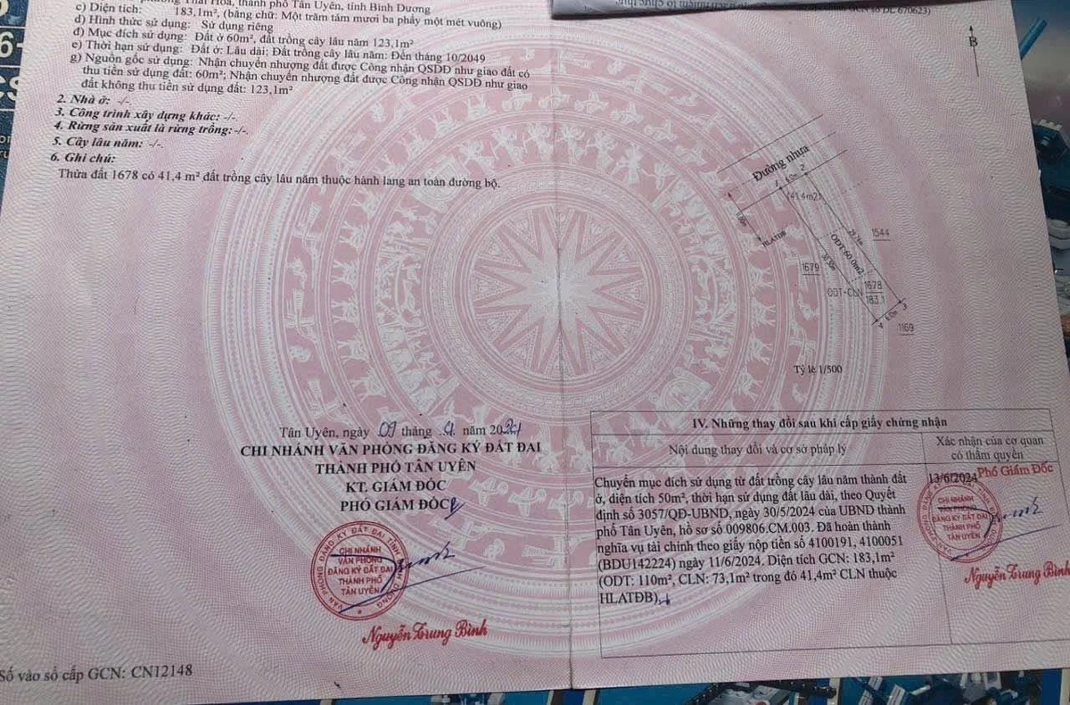 Bán lô đất mặt tiền kinh doanh 183m2, Tân Khánh, Bình Chánh - Ảnh thu nhỏ 3
