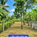 Bán nhà 2PN 243m2 đất thổ gần chợ Đức Tân, Tân Phú - Ảnh thu nhỏ 3