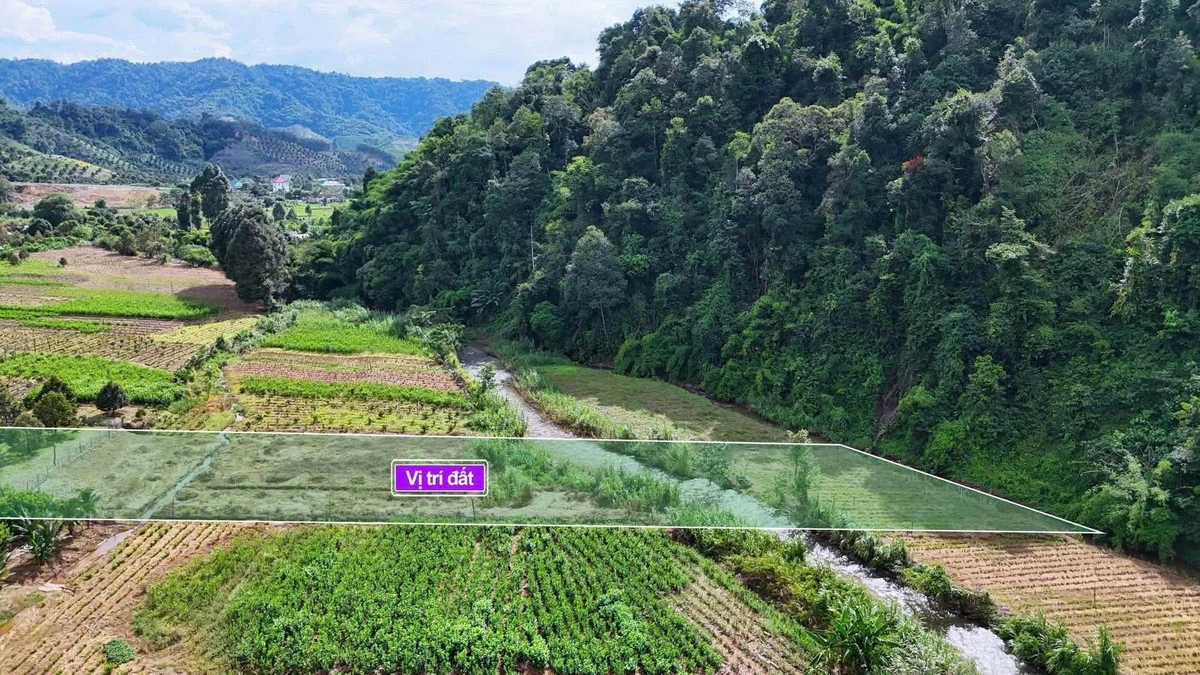 Bán đất vườn trái cây 400m2 mặt tiền Đạ Tẻh Lâm Đồng - Ảnh thu nhỏ 5
