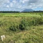 Bán lô đất 50m² Chà Là, Tây Ninh giá 590 triệu - Ảnh thu nhỏ 2
