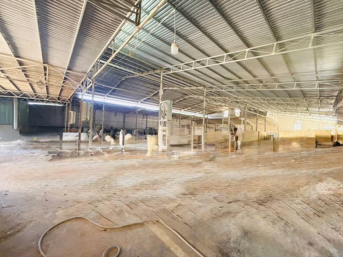 Cho thuê nhà xưởng 2000m2 điện 3Fa Đồng Nai - Ảnh thu nhỏ 3