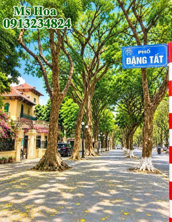 Bán nhà mặt phố Đặng Tất Phố Ba Đình 75m 4 tầng 27,5 tỷ