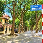 Bán nhà mặt phố Đặng Tất Phố Ba Đình 75m 4 tầng 27,5 tỷ - Ảnh thu nhỏ 1