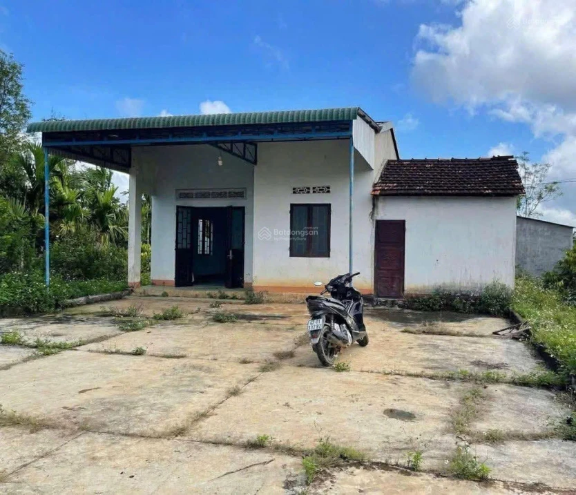 Bán đất xã Ea Ktur - Cư Kuin - Đắk Lắk gần nút cao tốc BMT - Nga Trang - Ảnh thu nhỏ 4