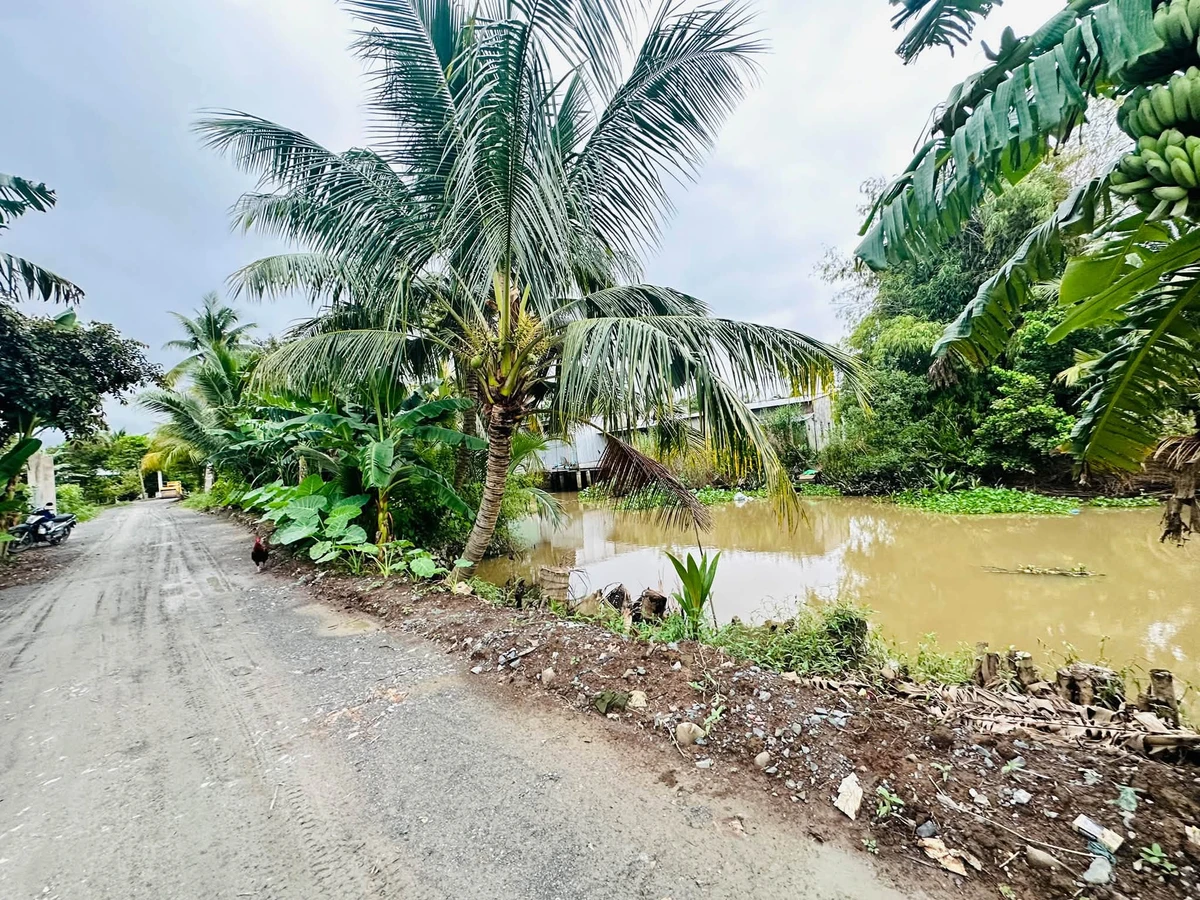 Bán 5000m² đất nghỉ dưỡng Cần Thơ 3.2 tỷ - Ảnh thu nhỏ 2