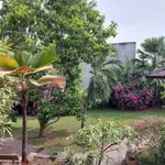 Bán biệt thự 1146m2 Hiệp Bình Chánh Thủ Đức 41.9 tỷ - Ảnh thu nhỏ 1