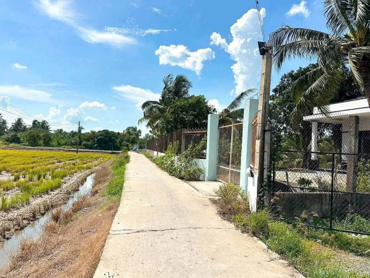 Bán lô đất thổ cư mặt tiền Thủ Thừa, Long An 176 m² - Ảnh 1