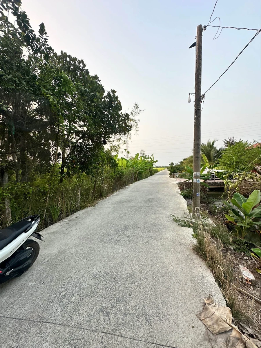Bán đất 18 x 66.75m (1201.5m²) Phường Long An, Tân An, Long An - Ảnh thu nhỏ 2
