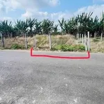 Bán lô đất mặt tiền Hoà Long, Tam Long, 110m², 1 tỷ 490 - Ảnh thu nhỏ 4