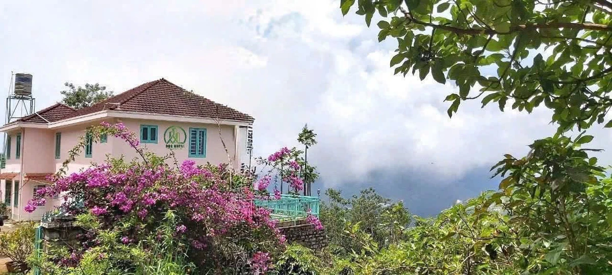 Bán biệt thự Đà Lạt view săn mây 2.692m² 4PN - Ảnh 1