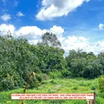 Bán đất vườn 13.372m² Hiệp Thạnh Tây Ninh 25 tỷ - Ảnh thu nhỏ 1