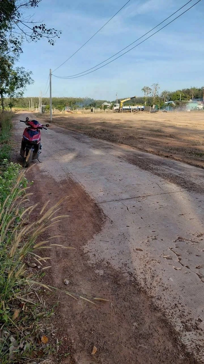 Bán 2 lô đất thổ cư 230 m² Tân Hưng Bình Dương - Ảnh thu nhỏ 2
