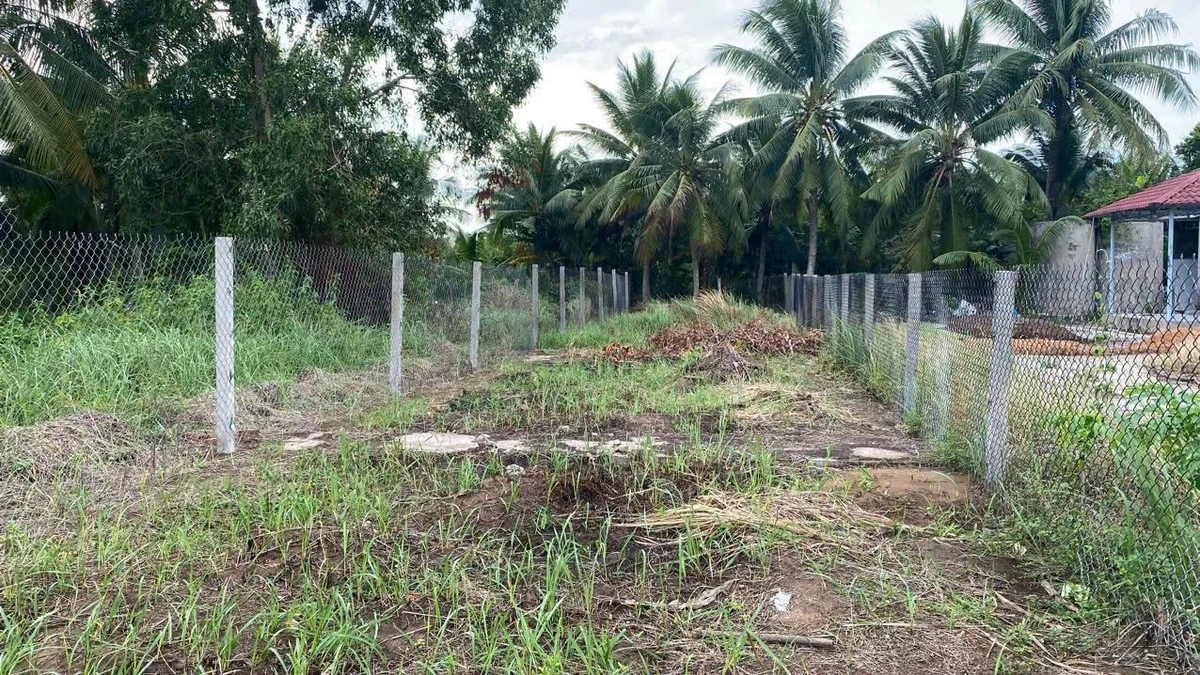 Bán đất nền biệt thự Phú Khương 222m2, 790 triệu - Ảnh thu nhỏ 2